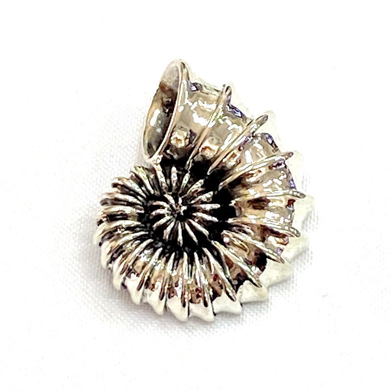 Beautiful Sea Shell Silver Pendant