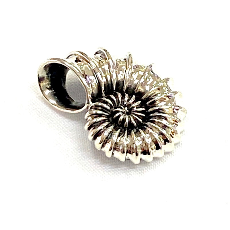 Beautiful Sea Shell Silver Pendant